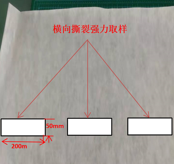 图1：横向撕裂强力取样