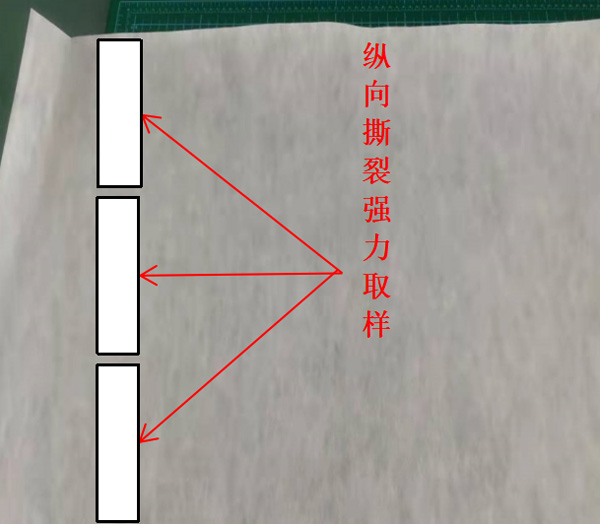 图2：纵向撕裂强力取样